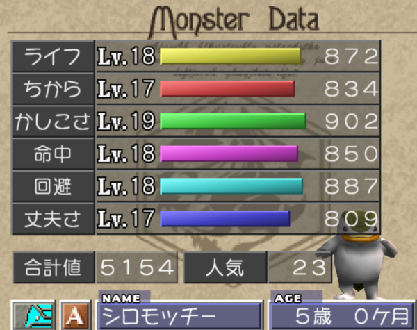 シロモッチー　5歳